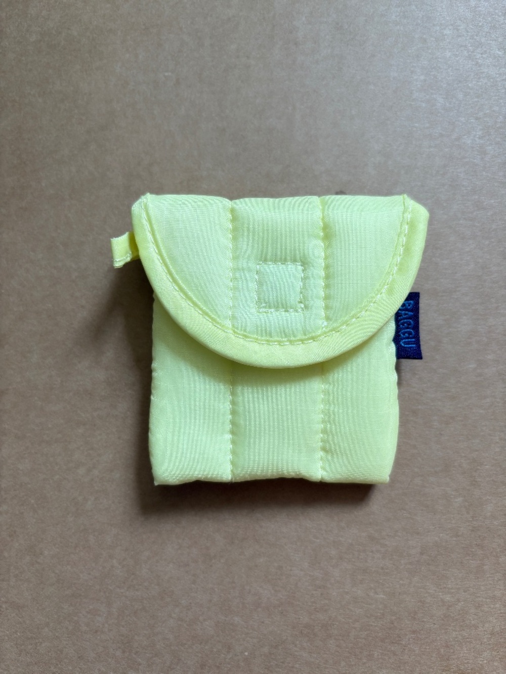 Rare Pomelo Puffy Earbud Baggu Sleeve